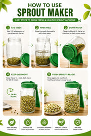 Glass Sprout Maker - 1000 ml (Transparent, Green)